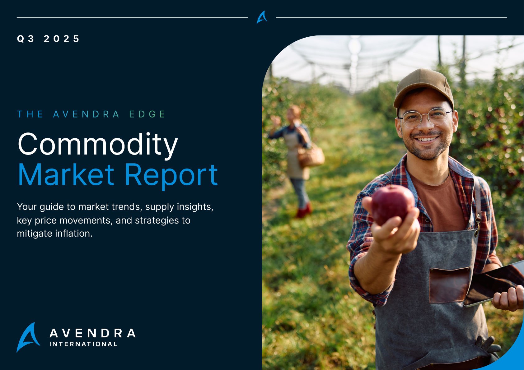 Image of the front cover of the Commodity Market Report